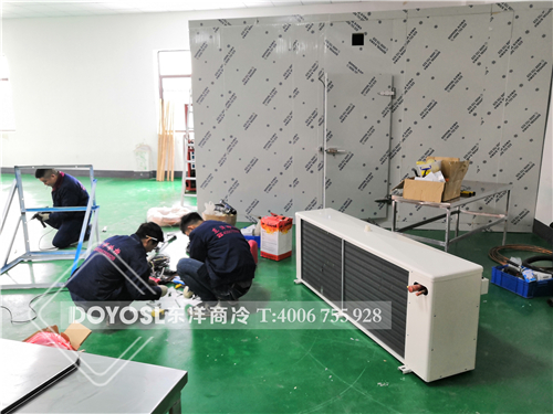 上海閔行區(qū)冷庫案例，冷庫，冷庫造價(jià)表 ，冷庫建造 ，冷庫除濕機(jī)， 冷庫安裝，2019冷庫補(bǔ)貼政策，500立方冷庫造價(jià)表 ，60立方冷庫用幾p外機(jī)，100平方冷庫造價(jià)， 農(nóng)村冷庫建造方法， 冷庫工程報(bào)價(jià)表，教你如何經(jīng)營冷庫生意， 動(dòng)遷冷庫按多少錢一平 ，冷庫前景及利潤